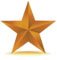 Bronze Start Member logo