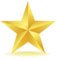 Gold Star Members logo